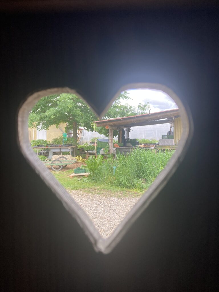 Kulturtag: Die Löwenkinder (2a) zu Besuch auf Michels Kleinsthof in Tunsel